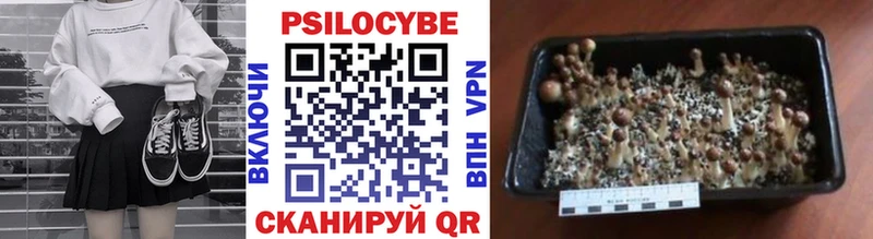 Галлюциногенные грибы ЛСД  blacksprut вход  Янаул  закладки 